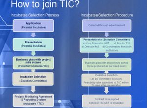 TIC Application Process